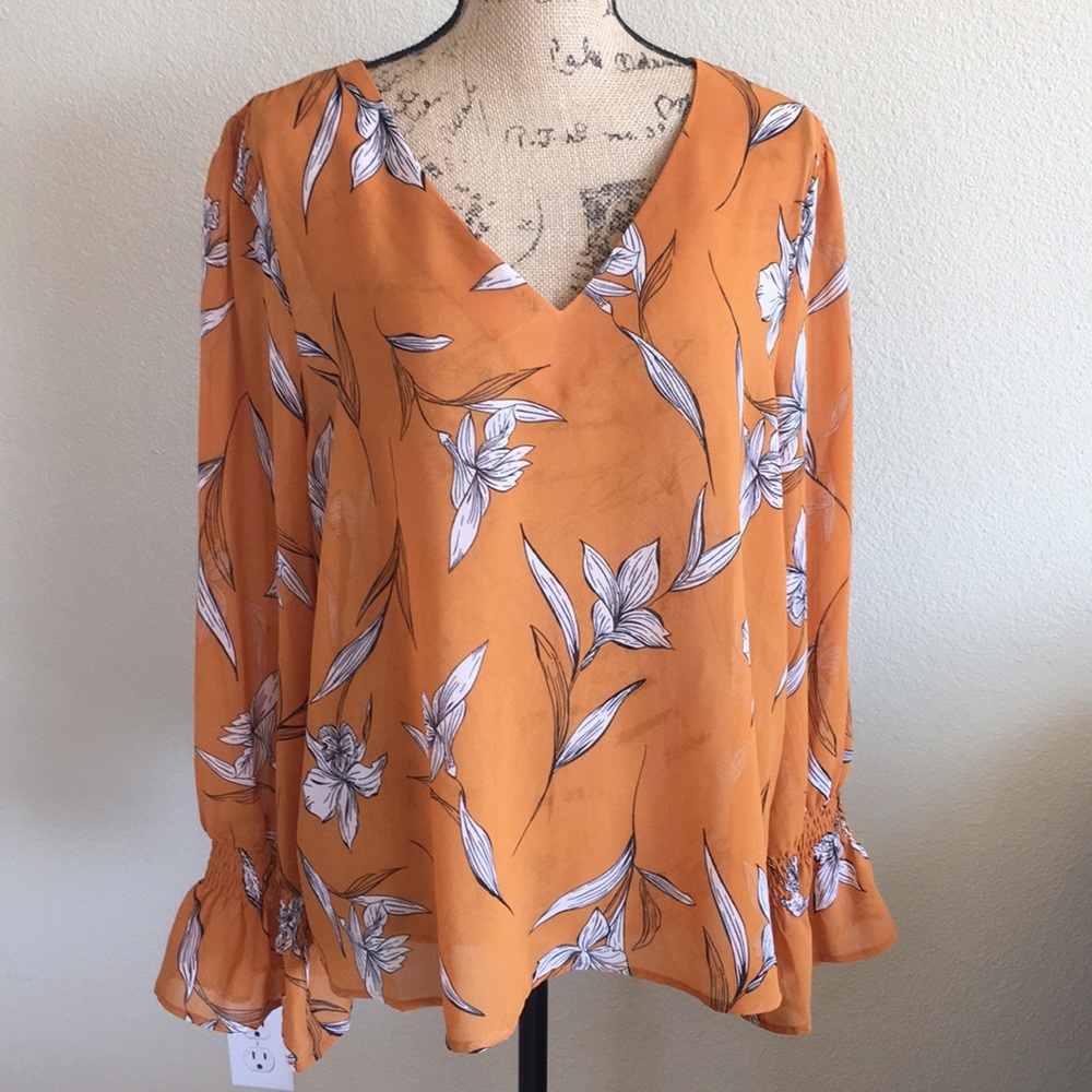 Sheer long sleeve blouse.